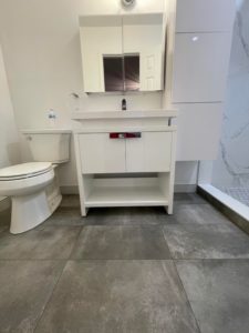 Toilet and Vanity
