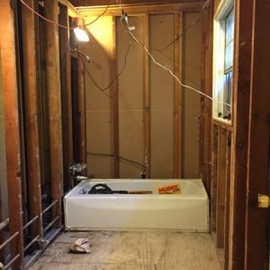 bathroom demolition
