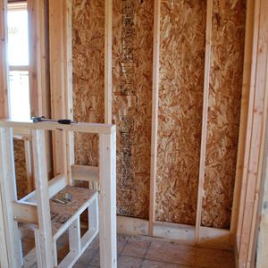 shower curb and niche framing